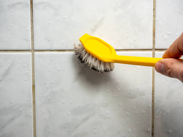 Best Attic Mold Removal  in Copiague, NY